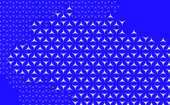 Dendrite image system